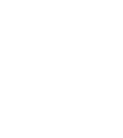 Cat Icon